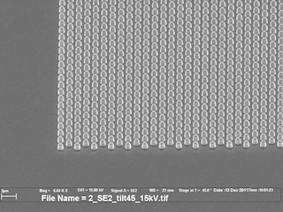 REM-Aufnahme von Sub-Mikrometer feinen Strukturen auf einem Nickelstempel.